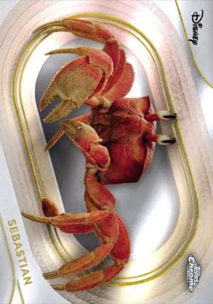 Sebastian (Live Action)