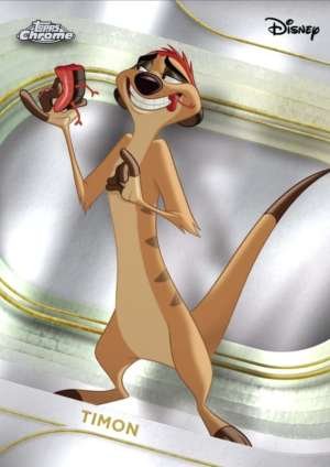 Timon