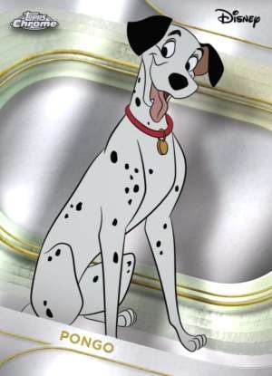 Pongo