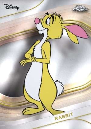 Rabbit