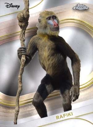 Rafiki (Live Action)