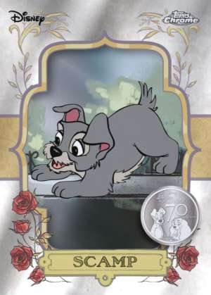 Scamp