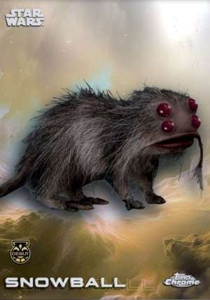 Snowball