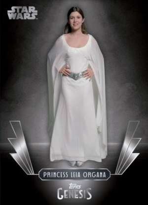 Princess Leia Organa /99