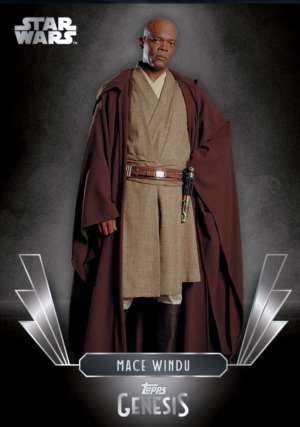 Mace Windu /99
