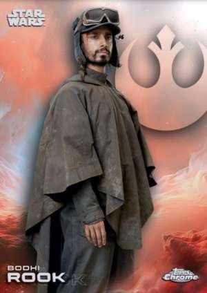 Bodhi Rook