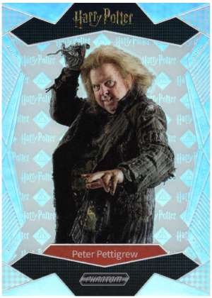 Peter Pettigrew