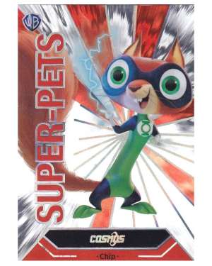 Chip