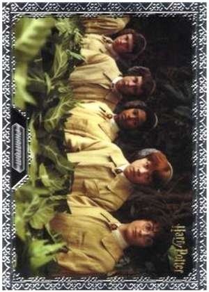 Harry Potter and the Chamber of Secrets