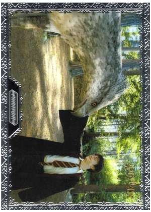 Harry Potter and the Prisoner of Azkaban