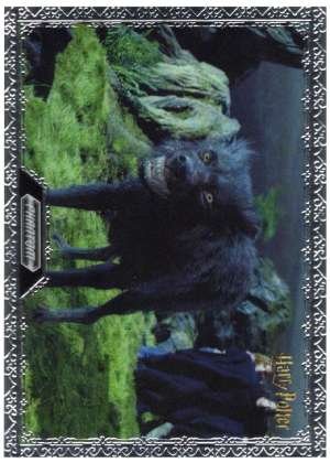 Harry Potter and the Prisoner of Azkaban