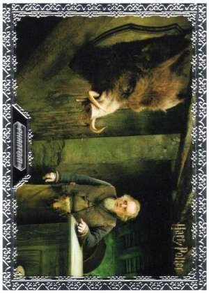 Harry Potter and the Order of the Phoenix