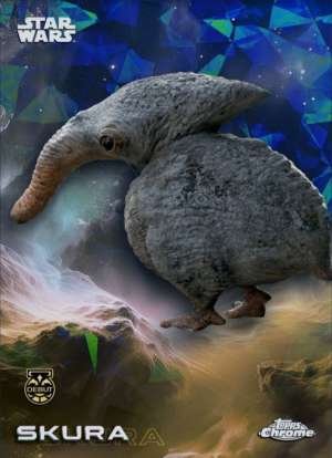 Skura