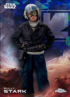 Sully Stark