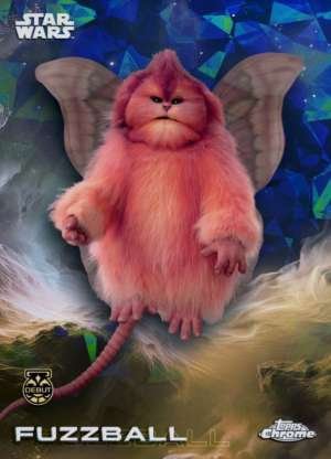 Fuzzball