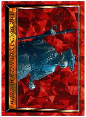 The Bounty Hunter Boushh