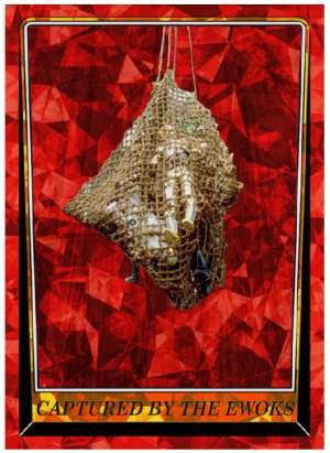 Captured by the Ewoks