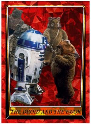 The Droid and the Ewok