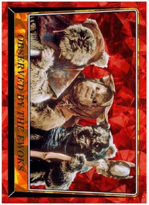 Observed by the Ewoks