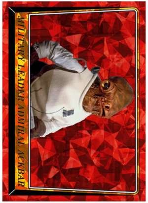 Military Leader Admiral Ackbar