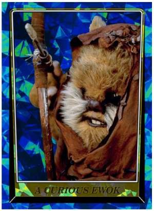 A Curious Ewok