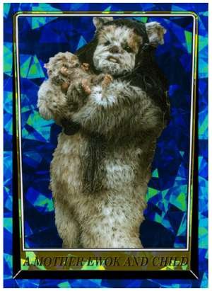 A Mother Ewok and Child