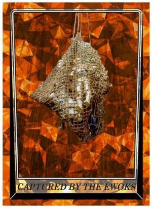 Captured by the Ewoks