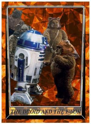 The Droid and the Ewok