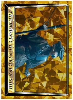 The Bounty Hunter Boushh