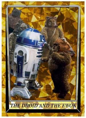The Droid and the Ewok