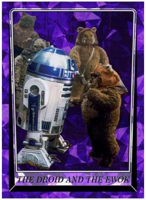 The Droid and the Ewok