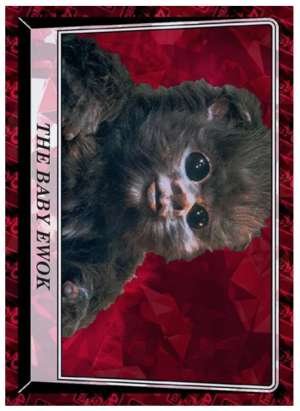 The Baby Ewok
