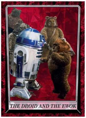 The Droid and the Ewok