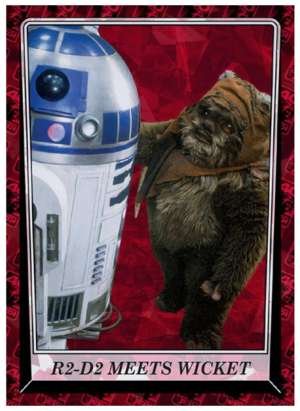 R2-D2 Meets Wicket