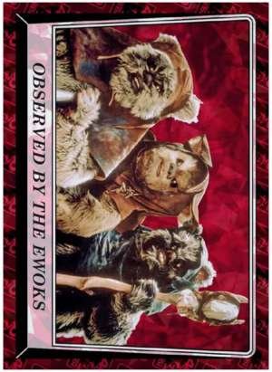 Observed by the Ewoks