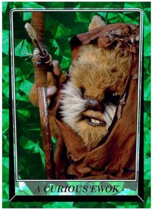 A Curious Ewok