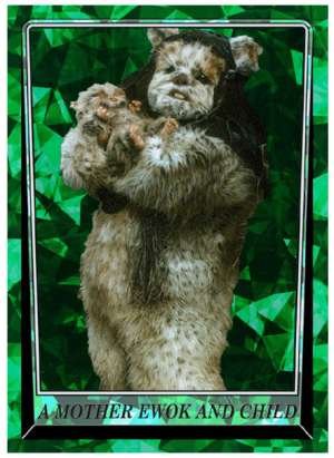 A Mother Ewok and Child