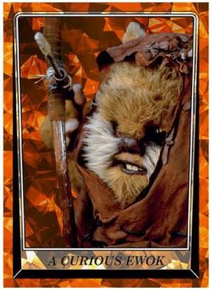 A Curious Ewok