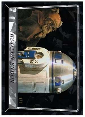 R2-D2 On Endor