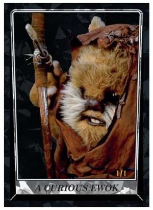 A Curious Ewok