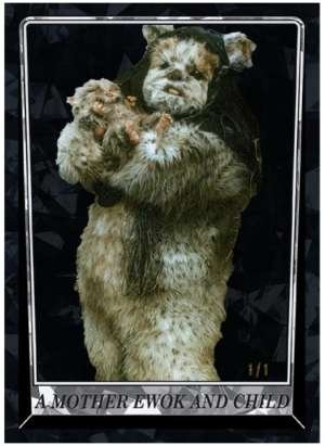 A Mother Ewok and Child