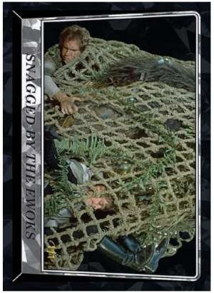 Snagged by the Ewoks