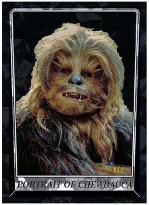 Portrait Of Chewbacca