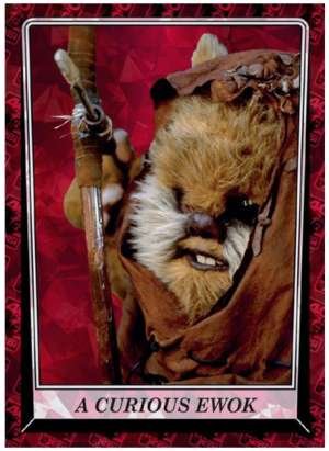 A Curious Ewok