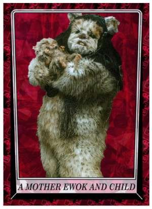 A Mother Ewok and Child
