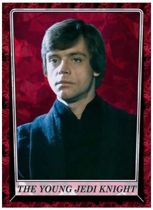 The Young Jedi Knight