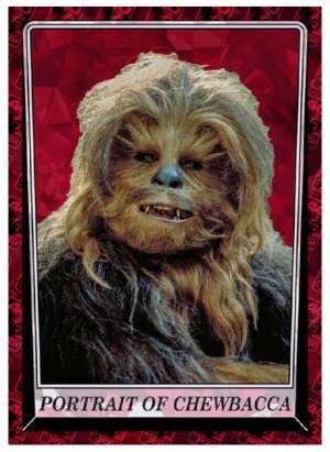 Portrait Of Chewbacca