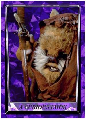 A Curious Ewok