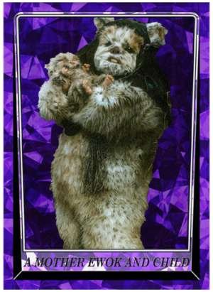A Mother Ewok and Child