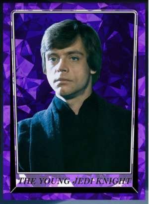 The Young Jedi Knight